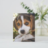 Welpenhund-Beagle Postkarte (Stehend Vorderseite)