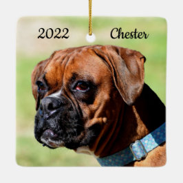 Welpenhund, braun und weiß keramikornament