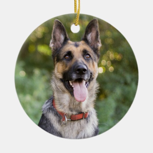 Welpenhund Keramik Ornament (Vorne)