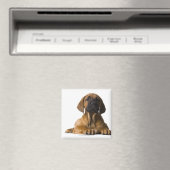 Welpenhund Magnet (In Situ (Geschirrspüler))