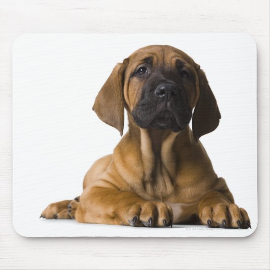 Welpenhund Mousepad (Vorne)