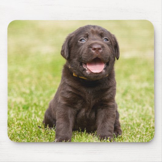 Welpenhund Mousepad (Vorne)