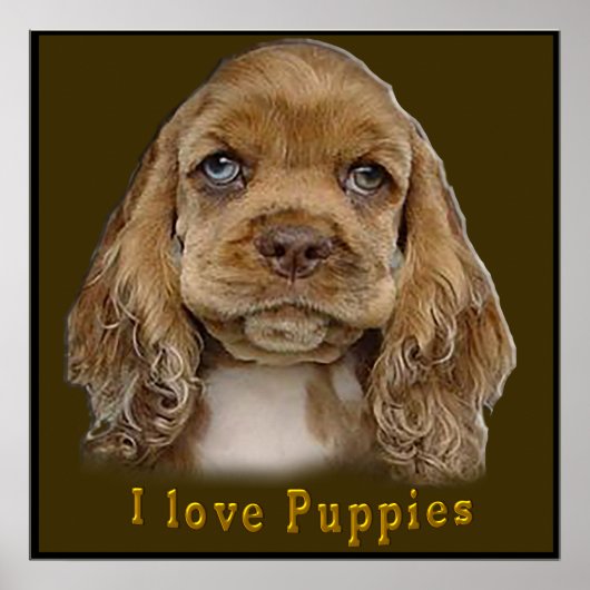 Welpenhund Poster (Vorne)