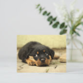 Welpenhund Postkarte (Stehend Vorderseite)