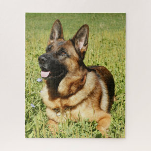 Welpenhund Puzzle