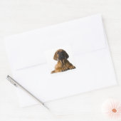 Welpenhund Quadratischer Aufkleber (Umschlag)