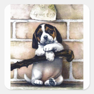 Welpenhund zum Verkauf süße vintage Illustration Quadratischer Aufkleber