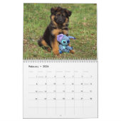 Welpenkalender 2016 kalender (Feb 2026)