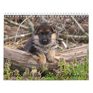 Welpenkalender 2016 kalender