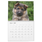 Welpenkalender 2016 kalender (Mär 2027)