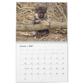Welpenkalender 2016 kalender (Jan 2027)