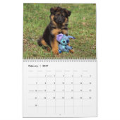 Welpenkalender 2016 kalender (Feb 2027)