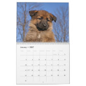 Welpenkalender 2016 kalender (Jan 2027)