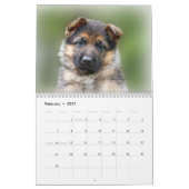 Welpenkalender 2016 kalender (Feb 2027)