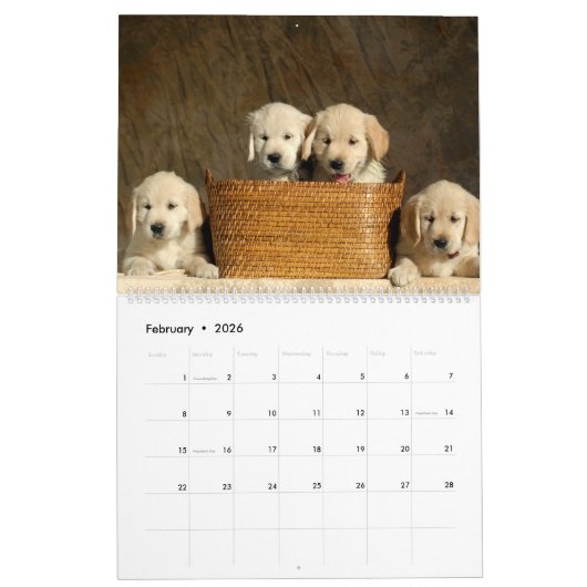 Welpenkalender Kalender (Feb 2026)