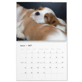 Welpenkalender Kalender (Mär 2027)