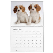 Welpenkalender Kalender (Jan 2027)