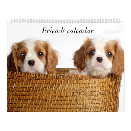 Welpenkalender Kalender (Titelbild)