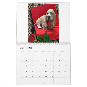 Welpenkalender Kalender