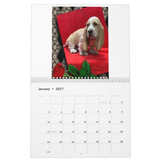 Welpenkalender Kalender (Jan 2027)