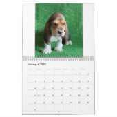 Welpenkalender Kalender (Jan 2027)