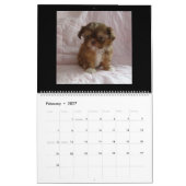 Welpenkalender Kalender (Feb 2027)