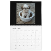 Welpenkalender Kalender (Jan 2027)