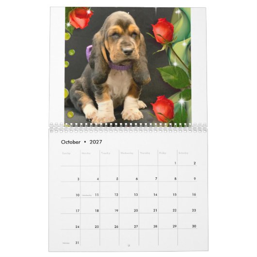 Welpenkalender Kalender (Okt 2027)