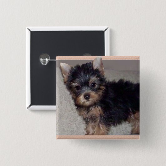 Welpenknopf Yorkshires Terrier Button (Vorne & Hinten)