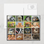 Welpenkollektion Postkarte (Vorne/Hinten)