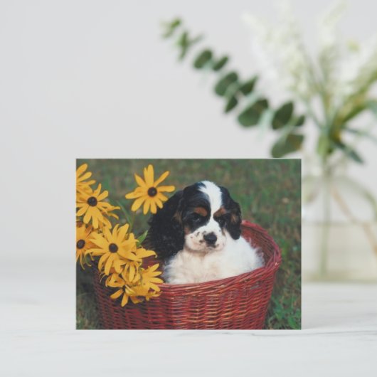 Welpenkörbe Postkarte (Stehend Vorderseite)