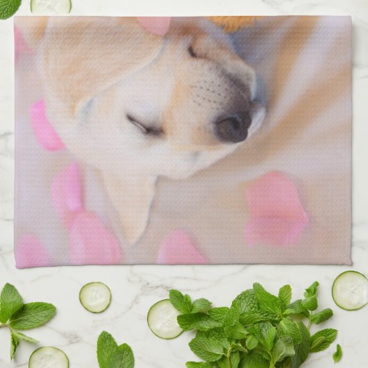 Welpenkugeln 02 geschirrtuch (Gefaltet)