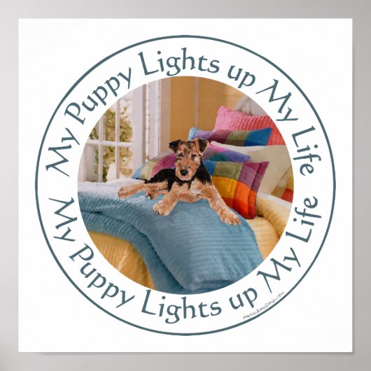 Welpenleuchten in meinem Leben Poster (Vorne)