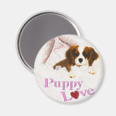 Welpenliebe Cavalier King Charles Spaniel Magnet (Vorderseite/Rückseite)