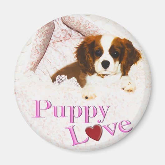 Welpenliebe Cavalier King Charles Spaniel Magnet (Vorne)
