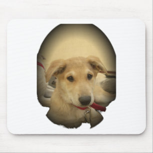 Welpenliebe: Der beste Freund des Menschen Mousepad