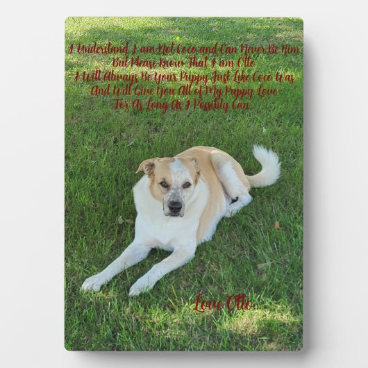 Welpenliebe Fotoplatte (Vorderseite)