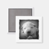 Welpenmagnet Magnet (Vorderseite/Rückseite)