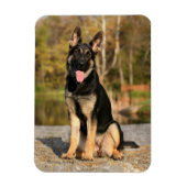 Welpenmagnet Magnet (Vertikal)