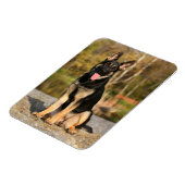 Welpenmagnet Magnet (Linke Seite)