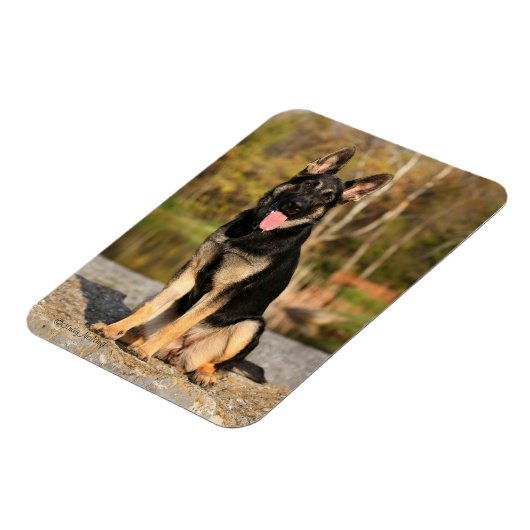 Welpenmagnet Magnet (Linke Seite)