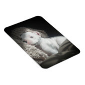 Welpenmagnet Magnet (Rechte Seite)