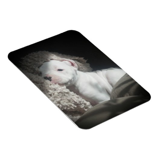 Welpenmagnet Magnet (Rechte Seite)