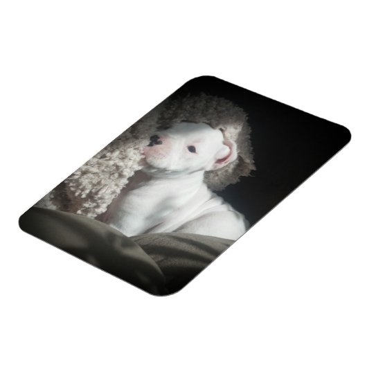 Welpenmagnet Magnet (Linke Seite)