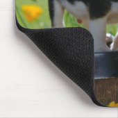 WelpenMausunterlage Mousepad (Ecke)