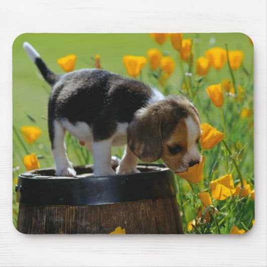 WelpenMausunterlage Mousepad (Vorne)