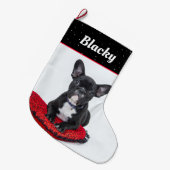 Welpenname und Foto von Schwarz und Weiß Großer Weihnachtsstrumpf (Vorderansicht (hängend))