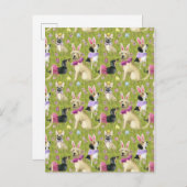 Welpenostersammlung Postkarte (Vorne/Hinten)