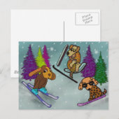 Welpenpferd Postkarte (Vorne/Hinten)