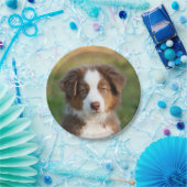 Welpenportrait Australian Shepherd, Party Pappteller (Party)